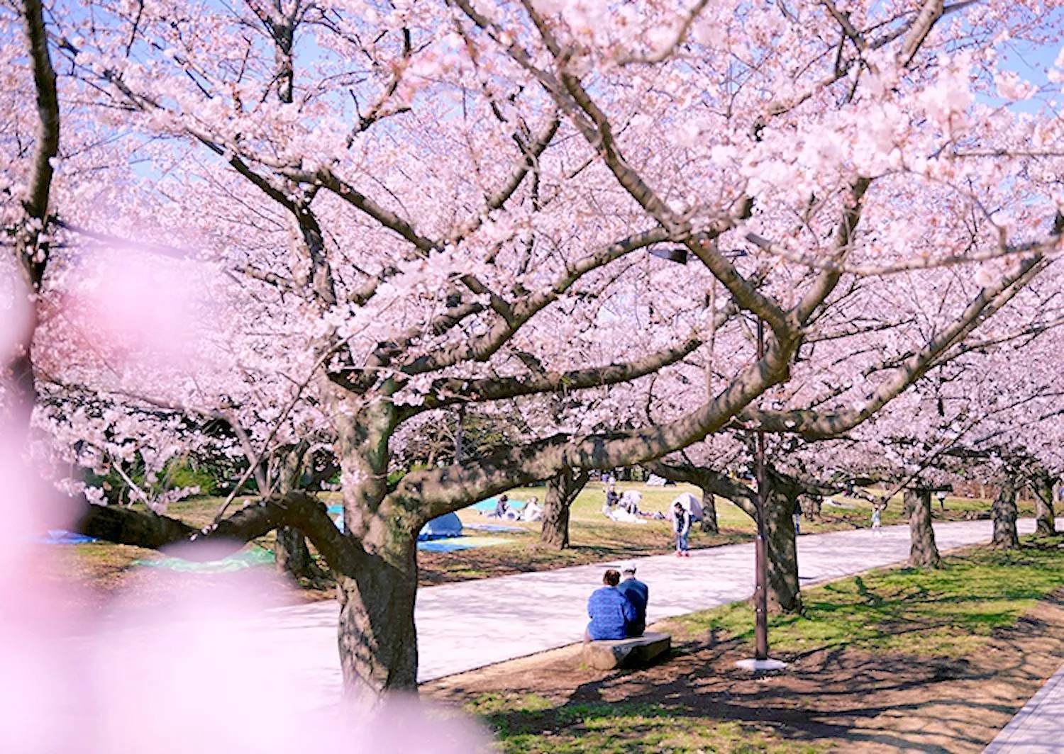 1 Line To Asakusa! 5 Mins Walk From Togoshi-Ginza Sta Tokyo Apartment